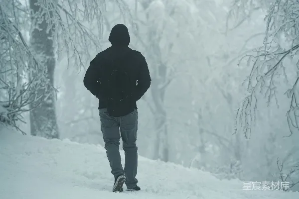 高清摄影 雪地漫步