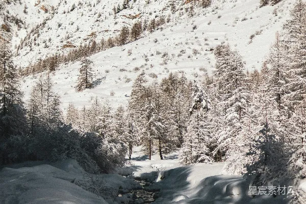 高清摄影 雪景中的小溪