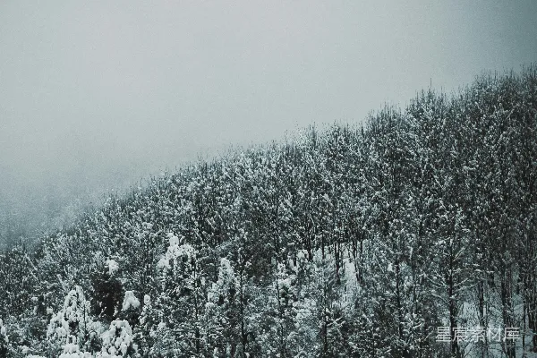 高清摄影 冬日山林雪景