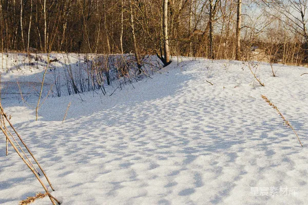 高清摄影 冬日雪景