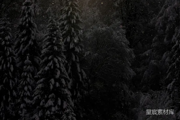 高清摄影 冬夜雪景