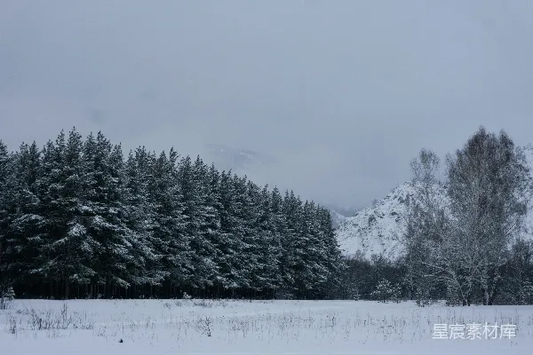 高清摄影 冬日雪景中的森林与岩石