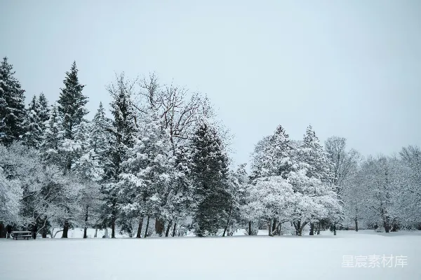 高清摄影 冬日雪景中的宁静公园