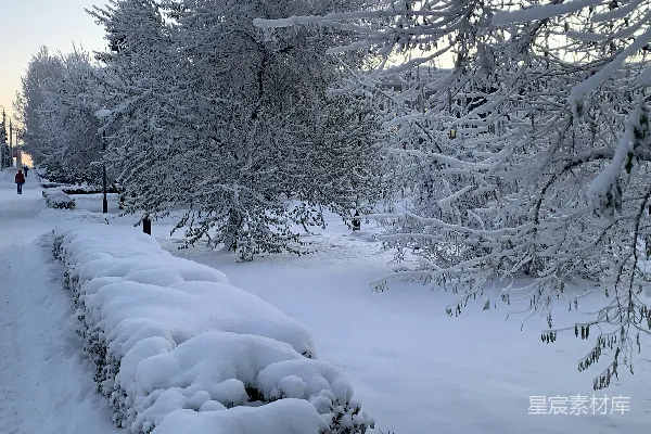 高清摄影 冬日雪景中的宁静小径