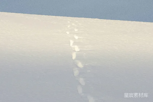 高清摄影 雪地上的足迹