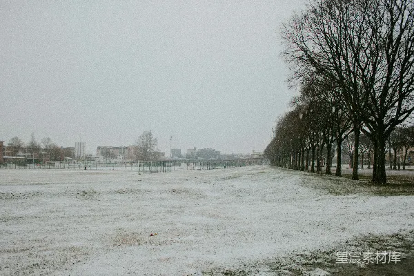 高清摄影 冬日雪景下的城市公园