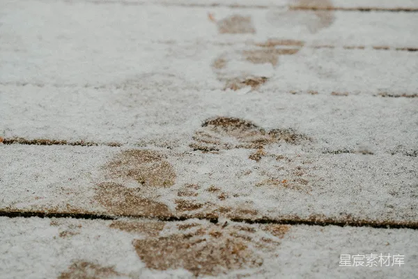 高清摄影 雪地上的足迹
