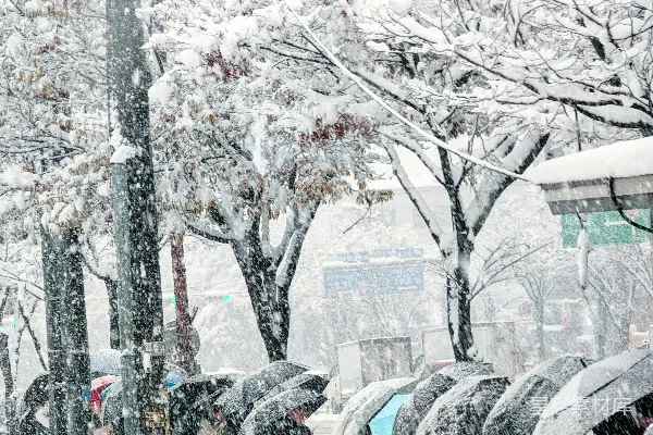 高清摄影 冬日雪景中的行人