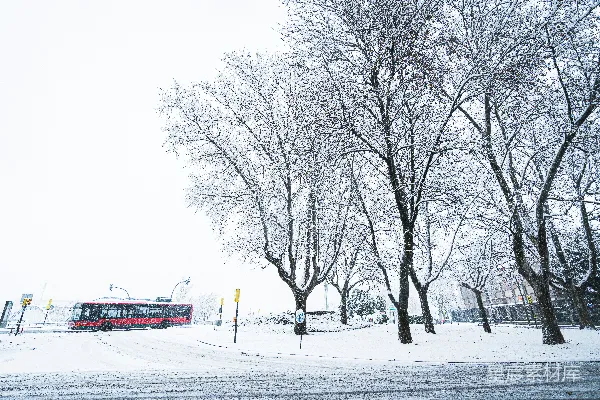 高清摄影 冬日雪景中的公交车