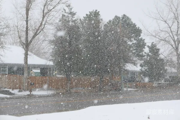 高清摄影 冬日雪景中的宁静街道