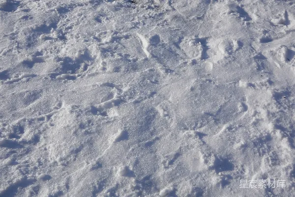 高清摄影 雪地上的足迹