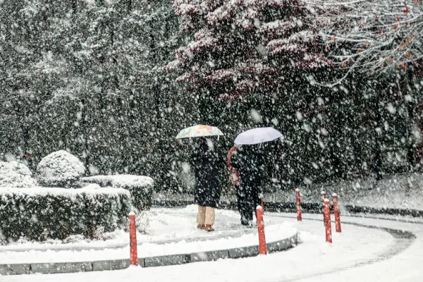 高清摄影 雪中漫步