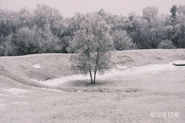 高清摄影 冬日寂静的雪景