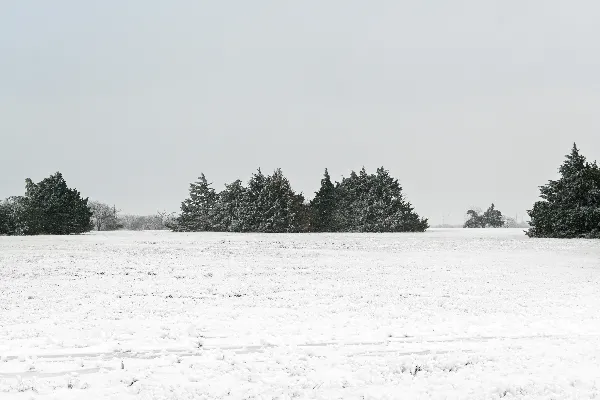 高清摄影 冬日雪景：宁静的田野