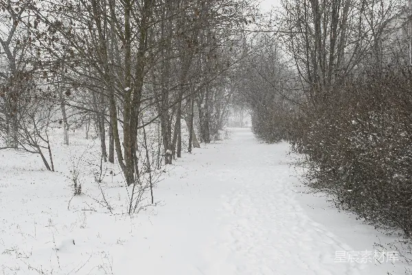高清摄影 冬日雪景中的小径