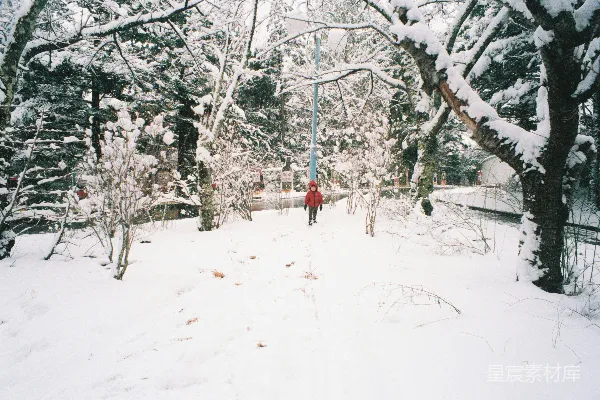 高清摄影 雪地里的童年记忆