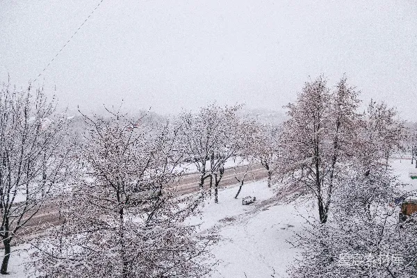 高清摄影 冬日雪景