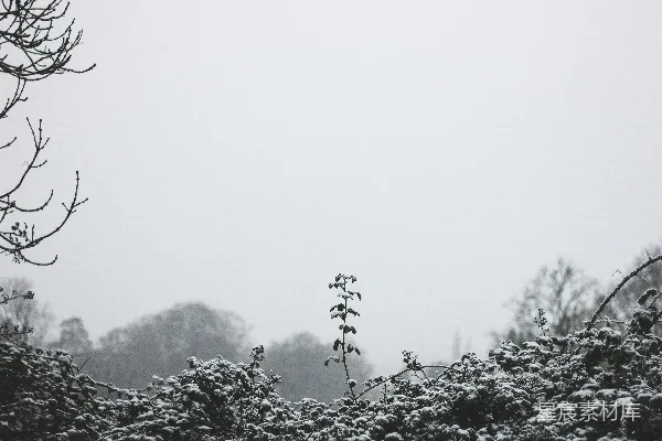 高清摄影 冬日雪景