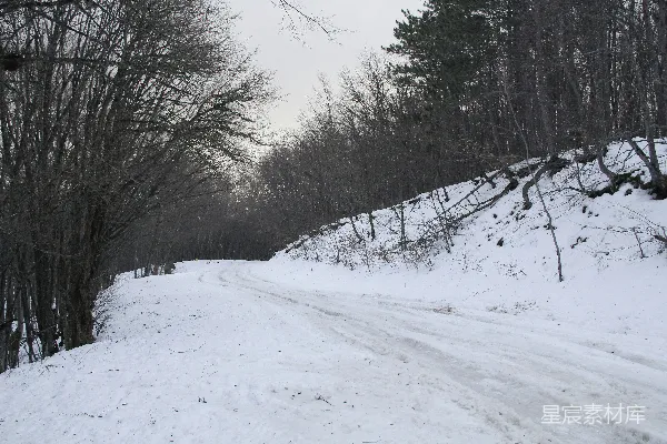 高清摄影 冬日雪地小径