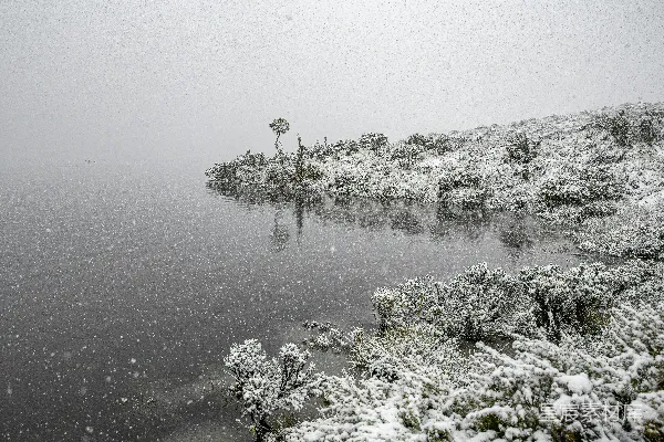 高清摄影 冬日湖畔雪景