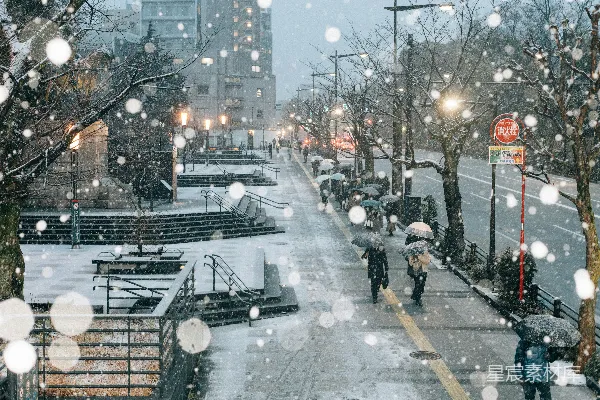 高清摄影 雪中的城市街道