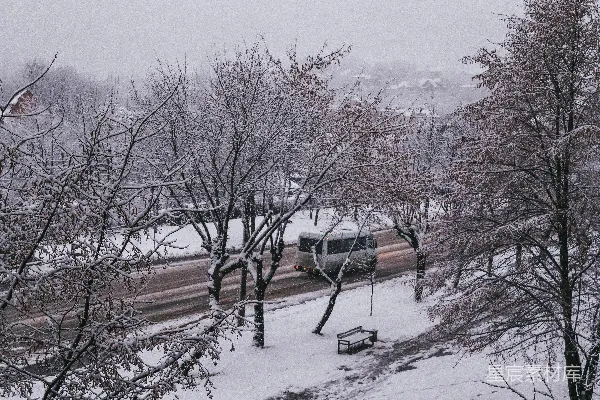 高清摄影 冬日雪景中的街道