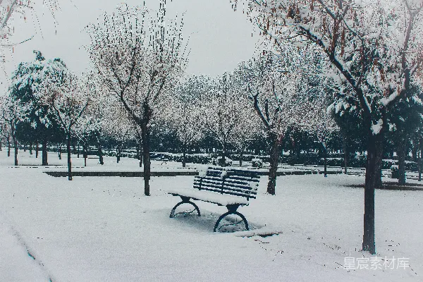 高清摄影 冬日雪景中的静谧长椅
