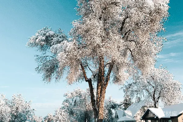 高清摄影 雪后的宁静小镇