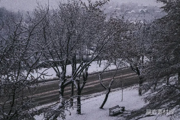 高清摄影 冬日雪景中的宁静公园