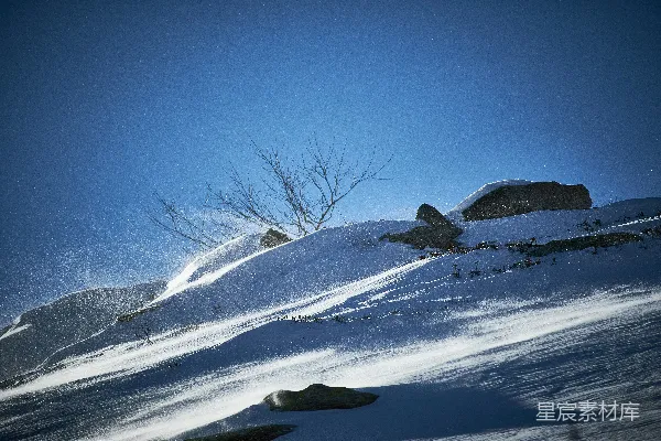 高清摄影 雪地里的冬日静谧