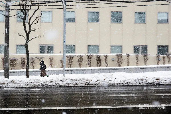 高清摄影 冬日雪景中的孤独行者
