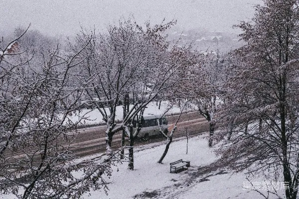 高清摄影 冬日雪景中的宁静街道