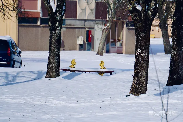 高清摄影 冬日公园雪景中的卡通座椅