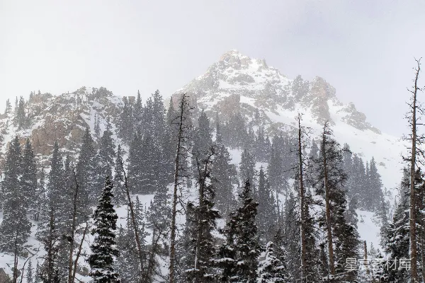 高清摄影 冬日雪山