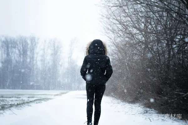 高清摄影 雪中独行