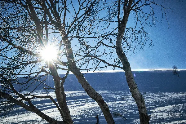 高清摄影 冬日阳光下的雪原