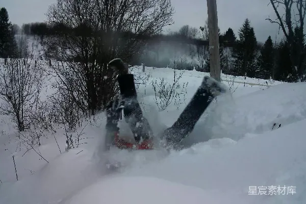 高清摄影 雪地里的冬季冒险