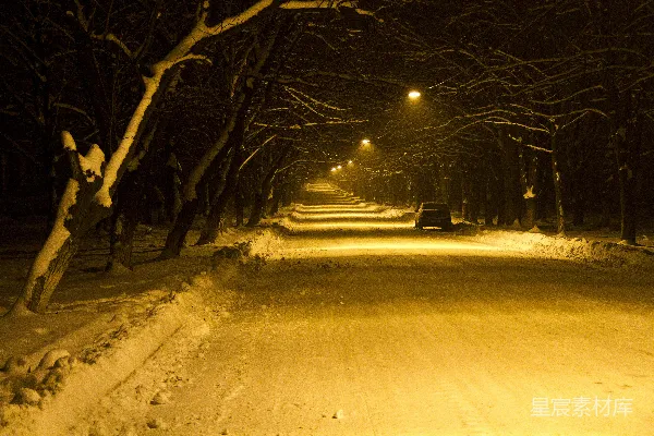 高清摄影 雪夜林荫道