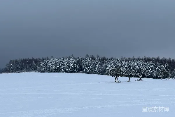 高清摄影 冬日雪地风景