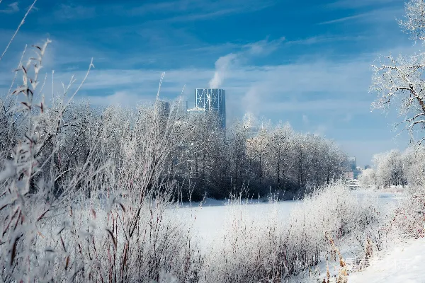 高清摄影 雪景中的城市天际线