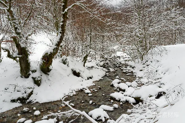 高清摄影 冬日雪景中的小溪