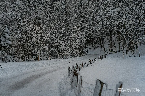 高清摄影 冬日雪景中的孤独旅人