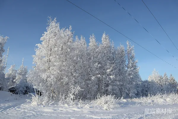 高清摄影 冬日雪景与冰挂树木