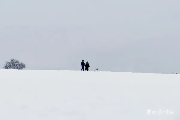 高清摄影 雪地漫步