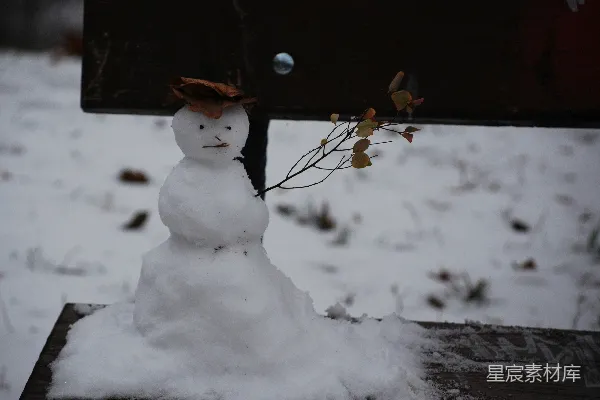 高清摄影 雪地里的小雪人