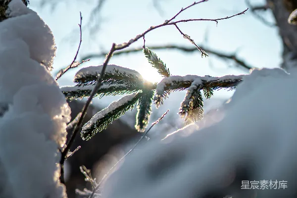 高清摄影 冬日阳光下的雪景