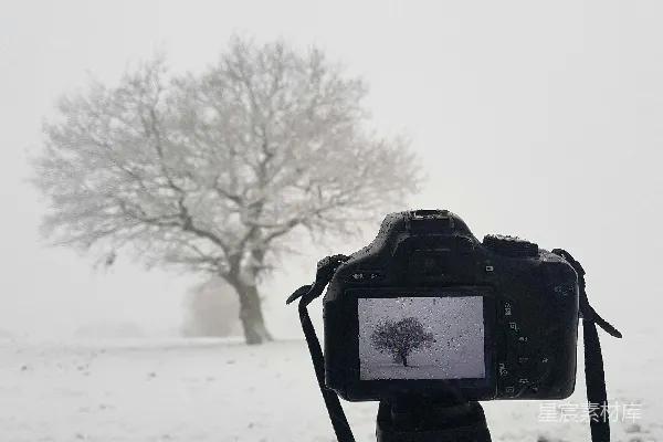 高清摄影 雪地里的树与相机