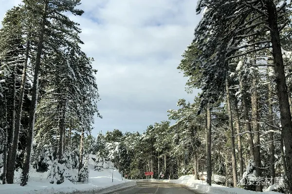 高清摄影 冬日雪景中的蜿蜒山路