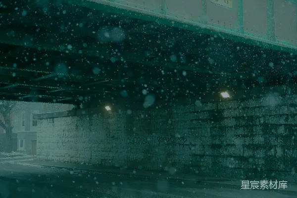 高清摄影 冬夜桥下的雪景