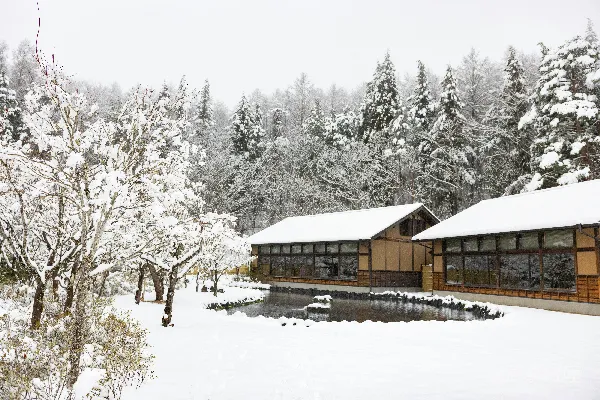高清摄影 雪景中的传统日式建筑